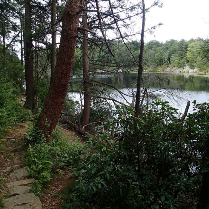 Near Pelton Pond Nature Trail