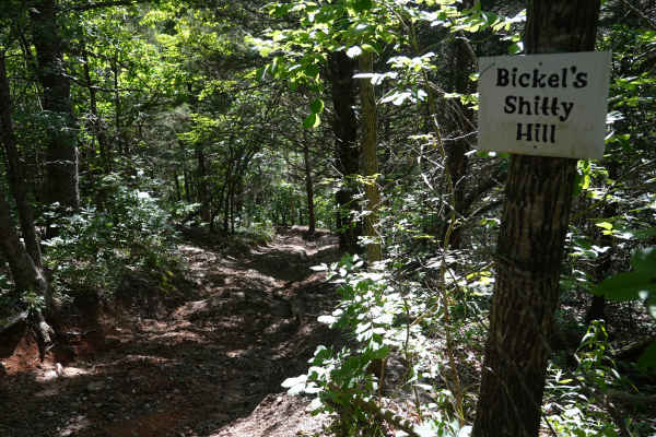 Bickel's Shitty Hill