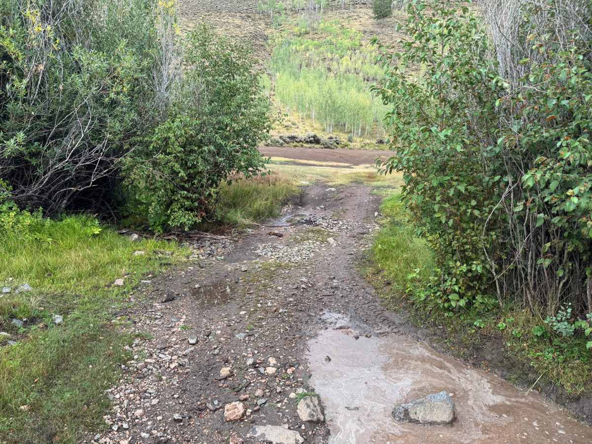 Flick Ridge Road trail photo