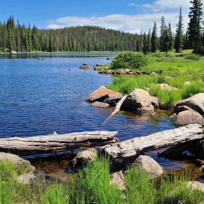 Near CDT: Rabbit Ears Pass to Buffalo Pass (CO Sec. 41)