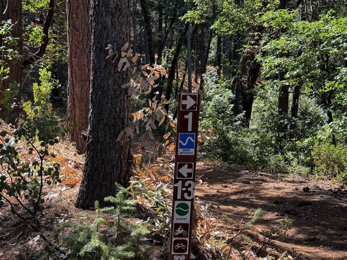 Trail 1-3 (11E30) photo 2