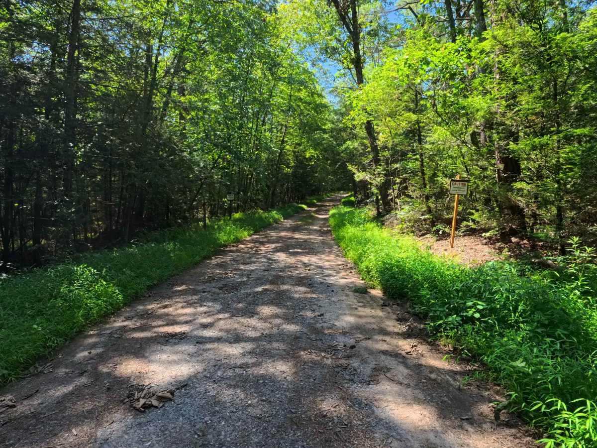 Leading Ridge Road trail photo