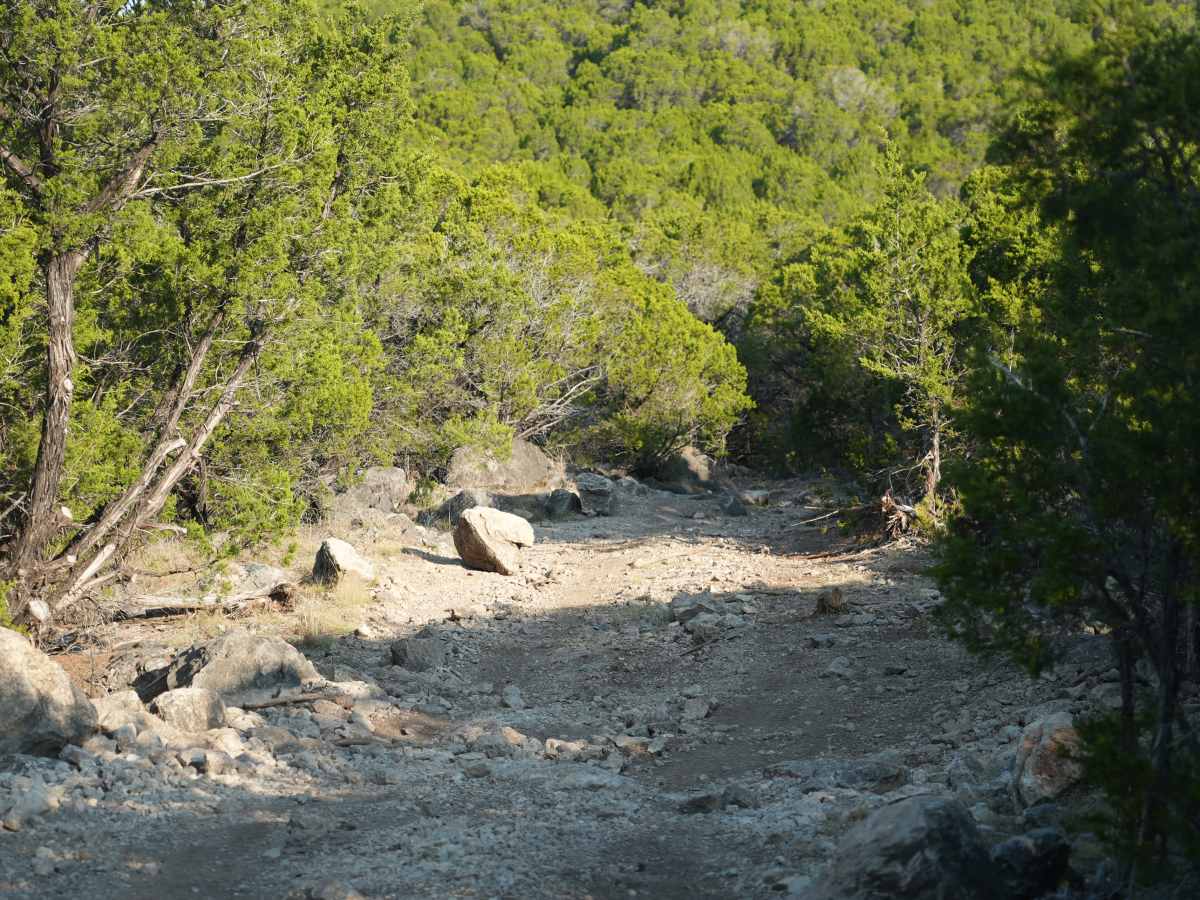 Zandy Lane trail photo