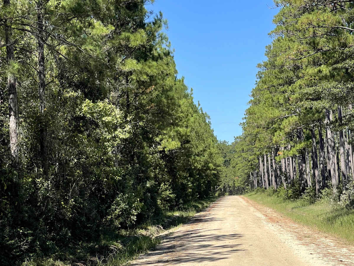Lee Buck Road photo 5