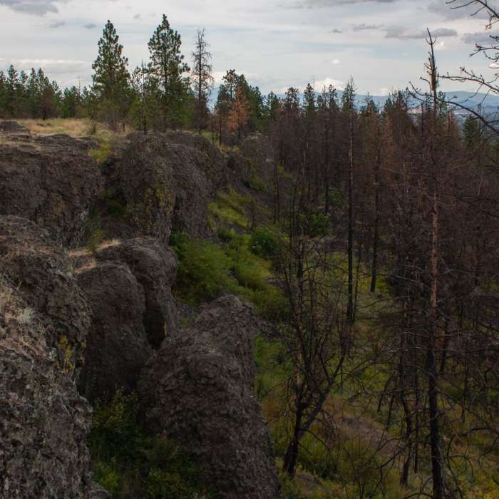 Near Rimrock Drive Trail