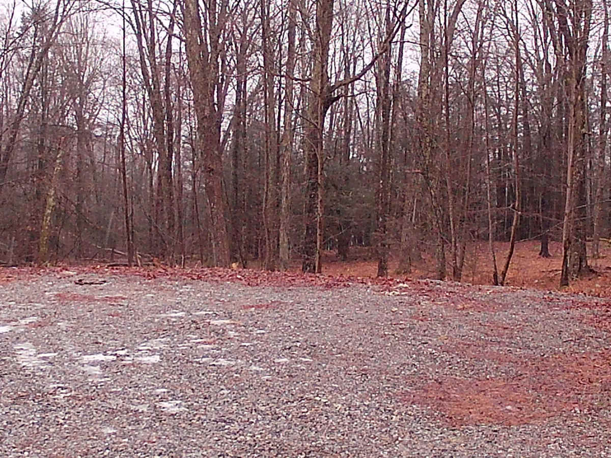 Huckle Run Road photo 3