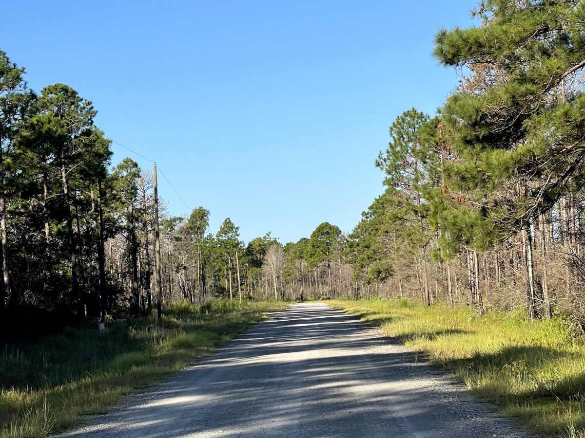 West Boiling Springs Road photo 5