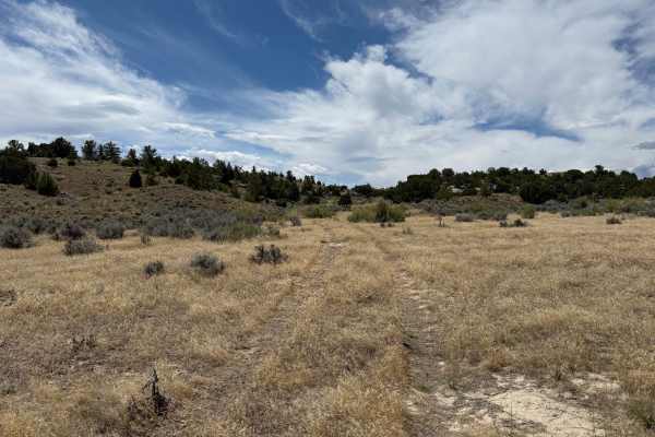 Bill's Trail