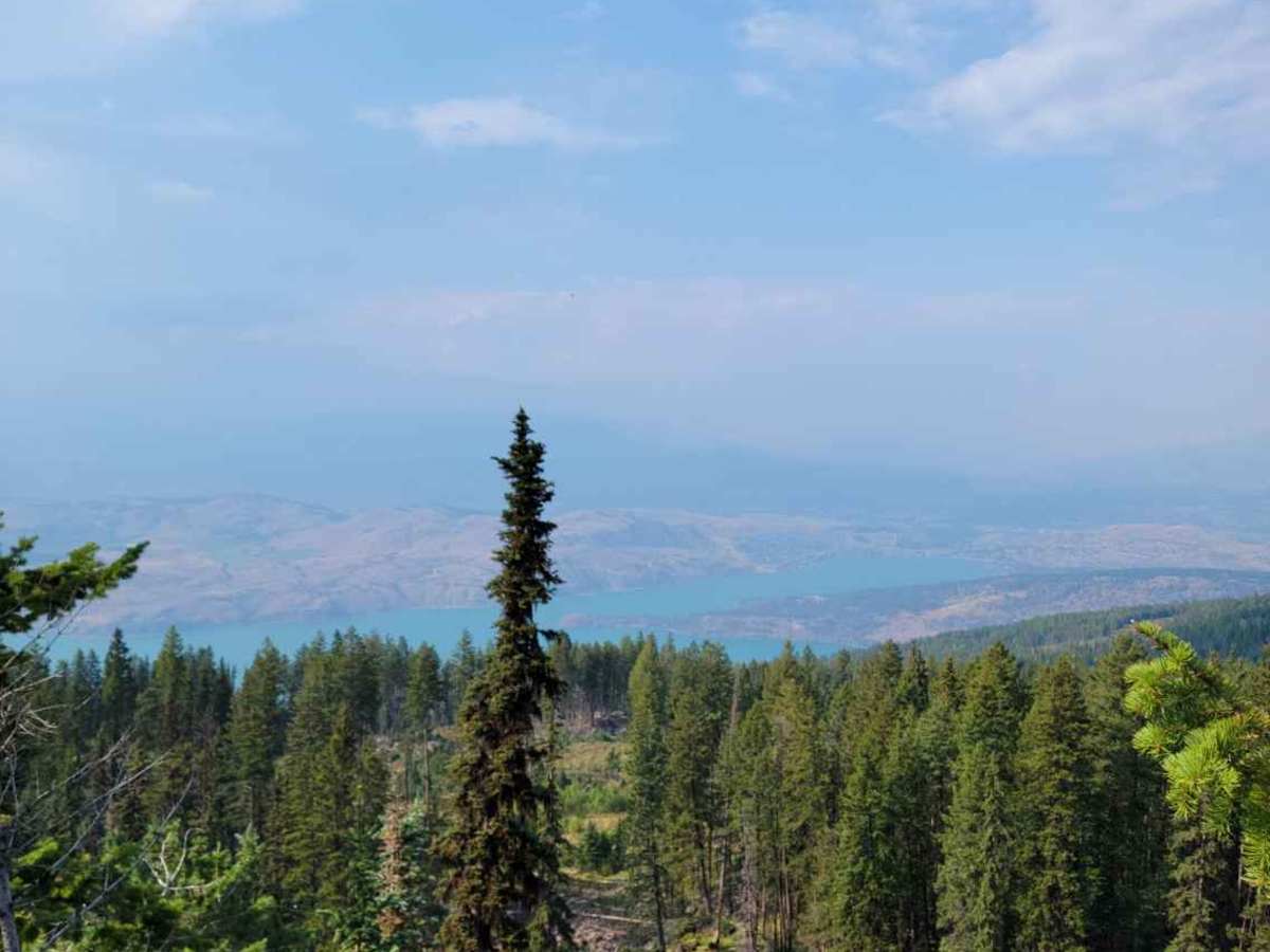 Microwave Tower Trail photo 6