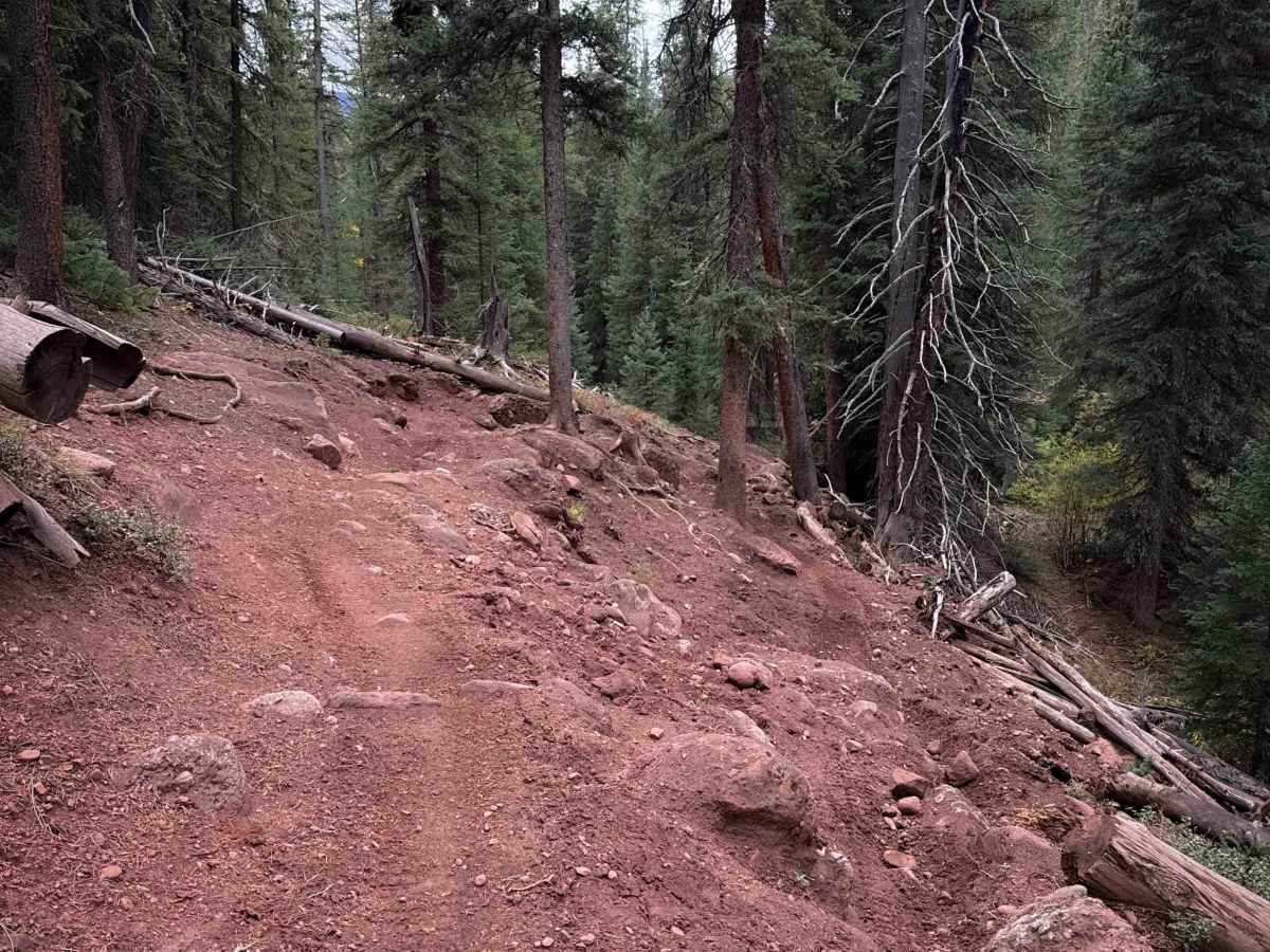 Bear Creek Trail South - FS 415 photo 4