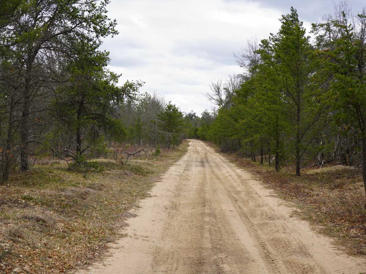 Deeter Road - FS 4471/FS 4472 photo 4