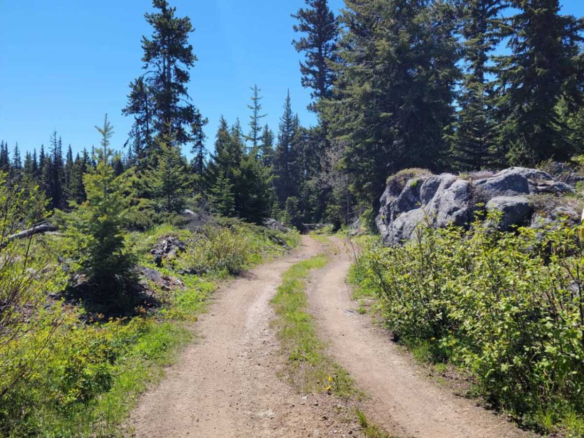 Iron Mountain photo 5