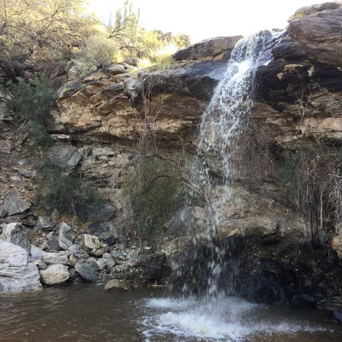 Near Bridal Wreath Falls Loop