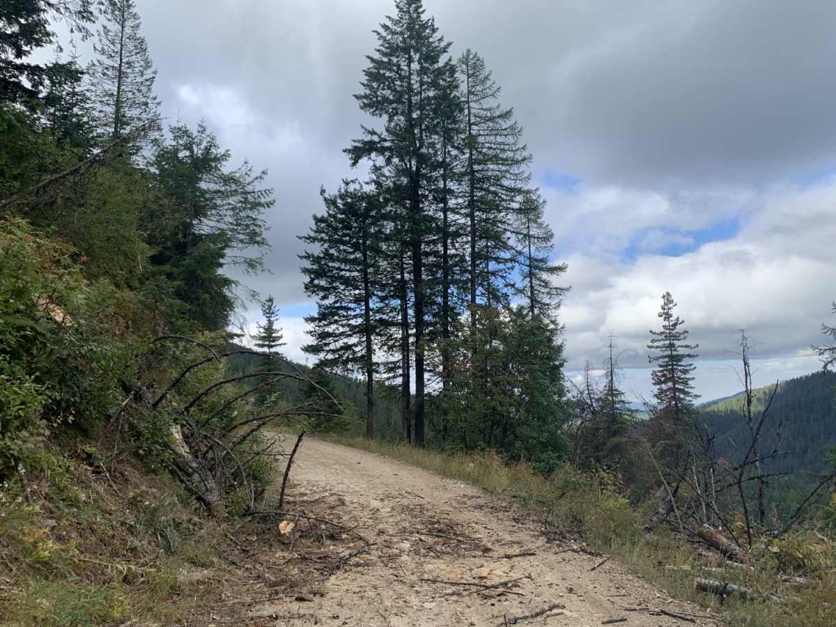 Horse Ridge Trail photo 3