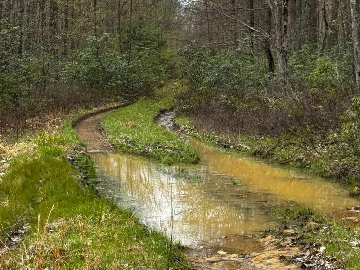 Hendricks Trail photo 6