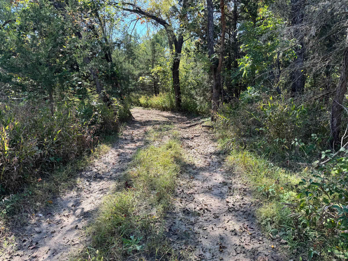 Tinker Trail photo 2