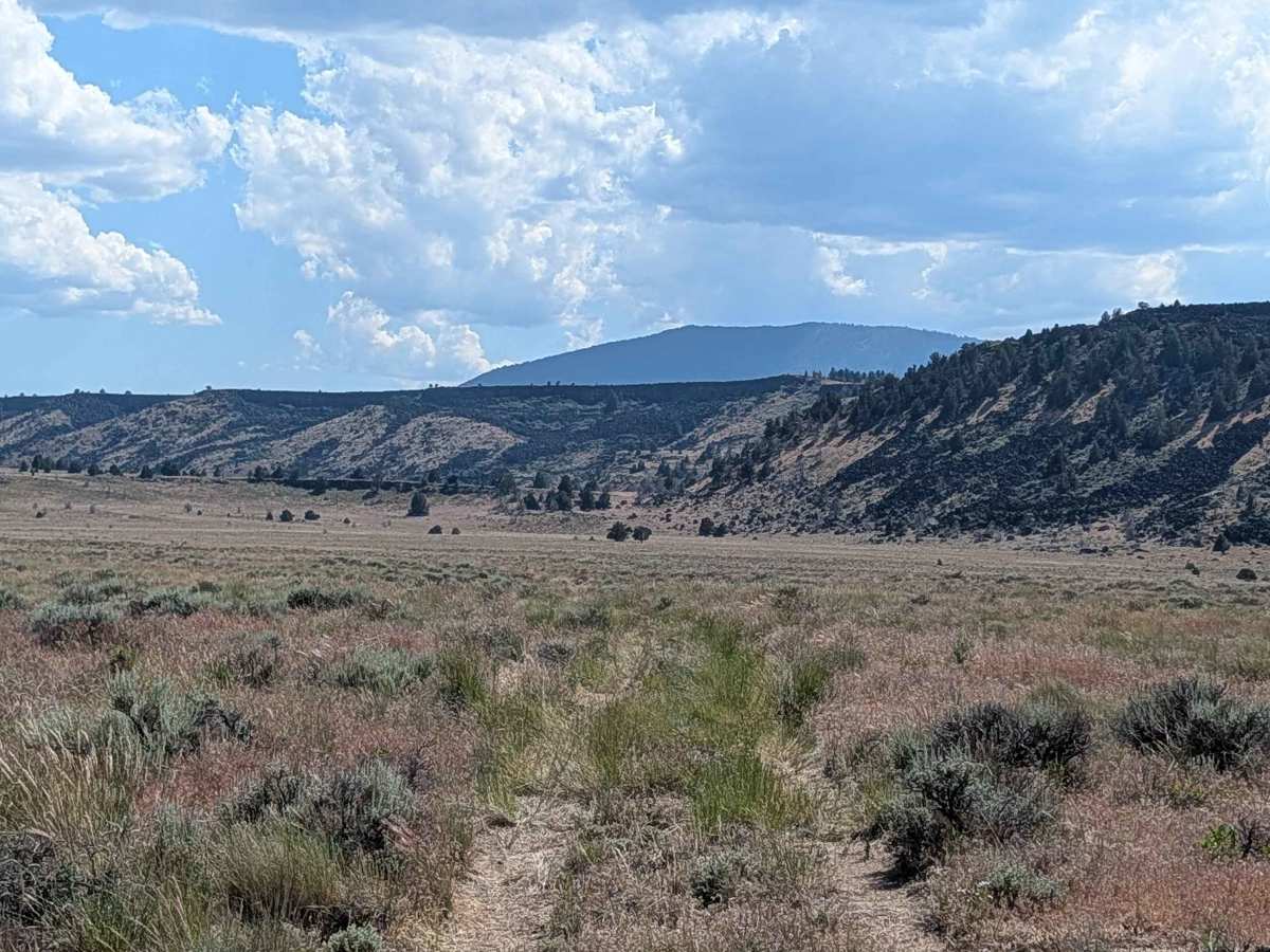 FS 47A18B trail photo