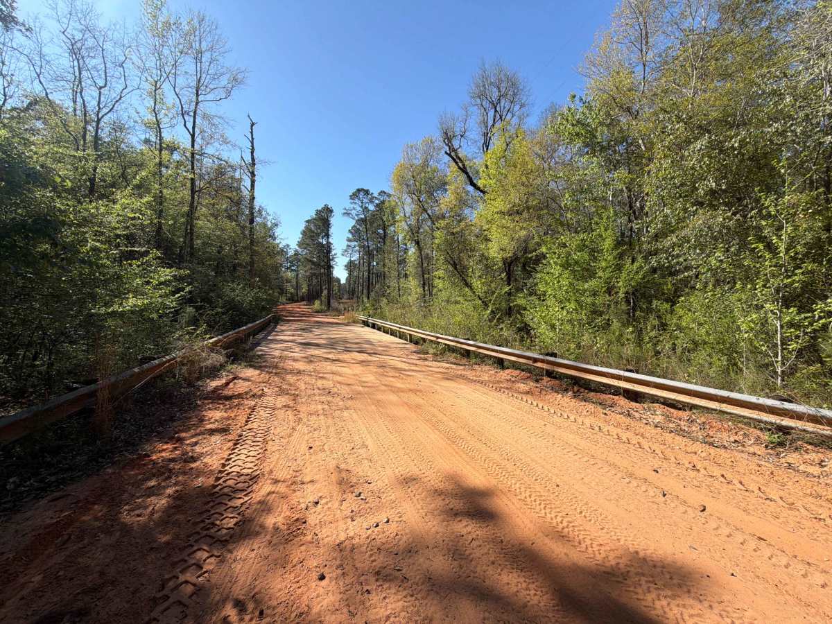 Mattie Kennedy Road trail photo