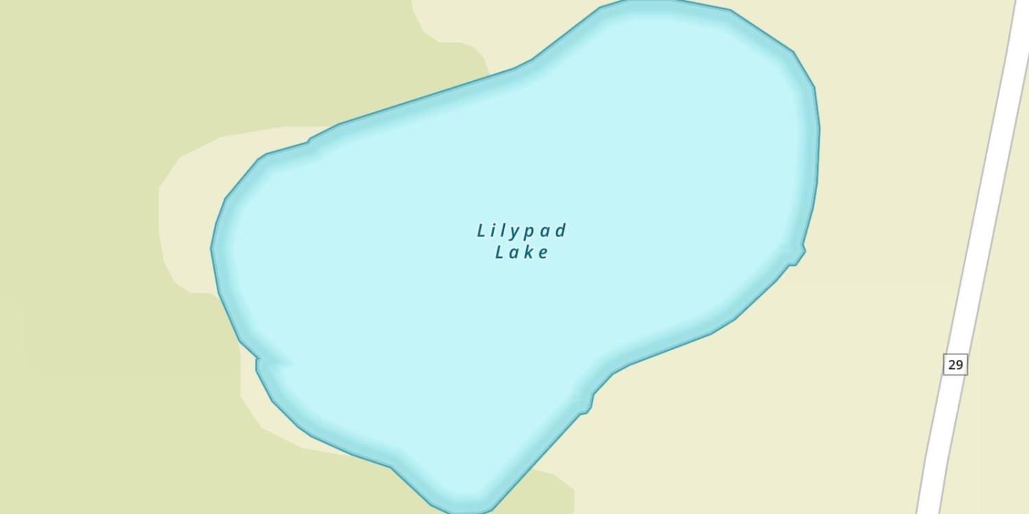 Lilypad Lake
