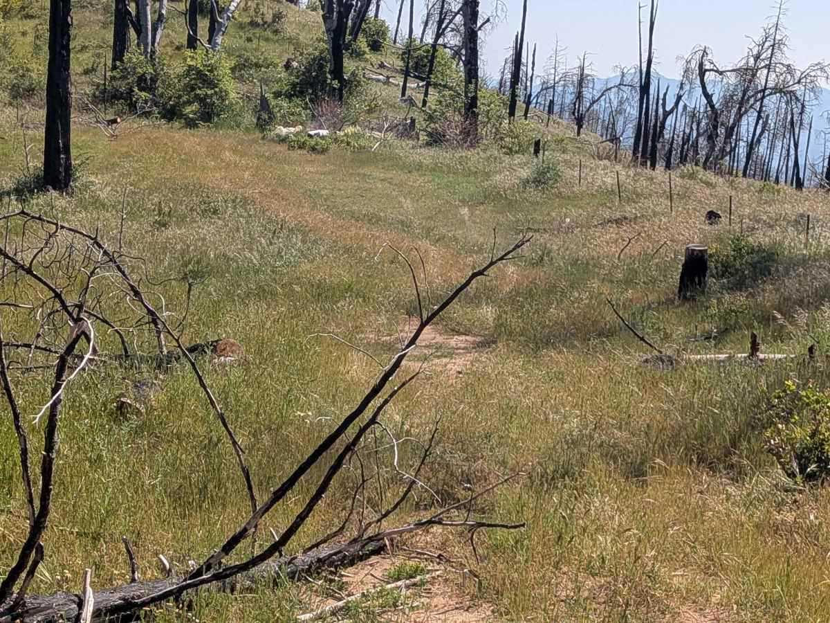 Starvation Creek - FS 23S65 photo 4