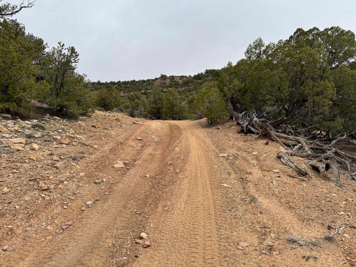 BLM 929 trail photo