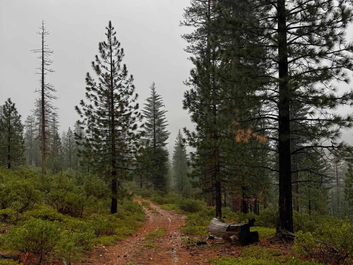 Ford Point Spur trail photo