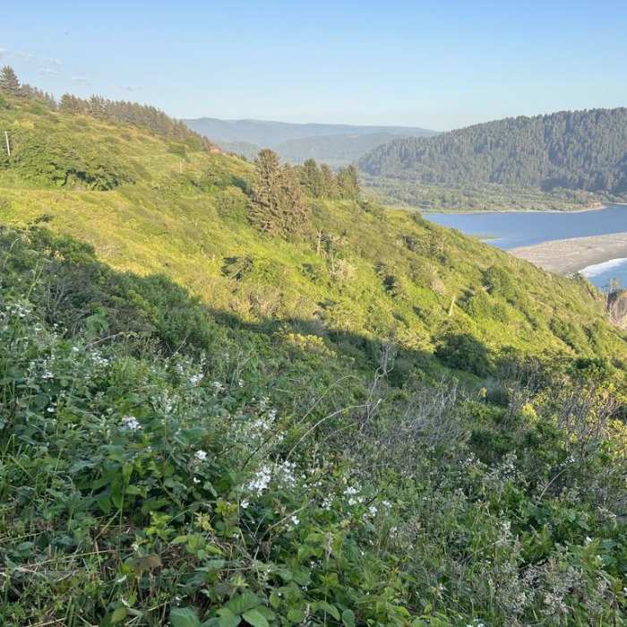Near Klamath River Overlook