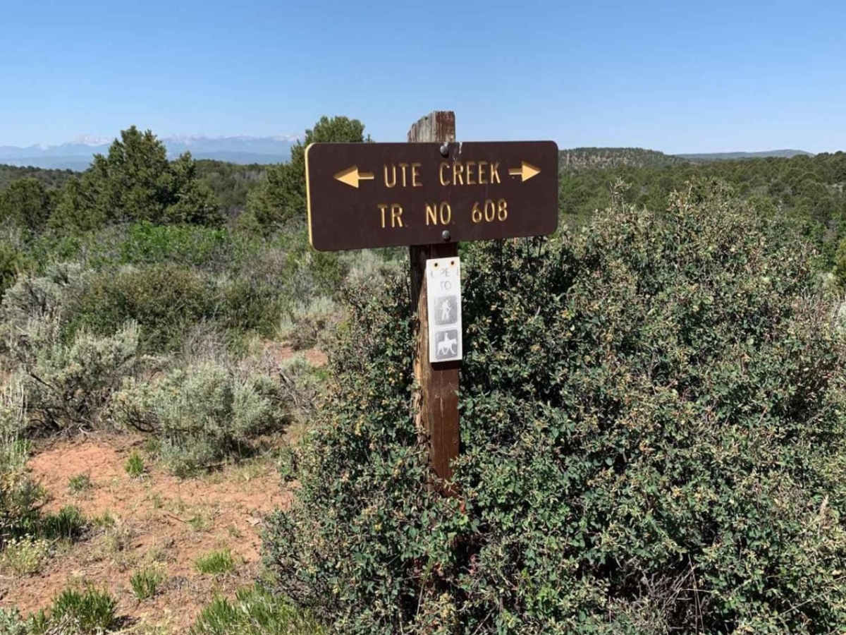 Ute Creek trail photo