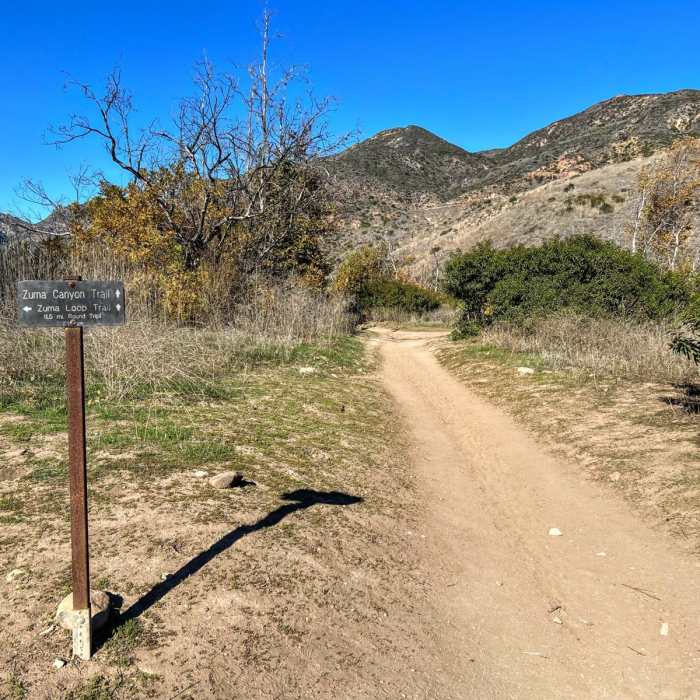 Near Zuma Canyon Loop