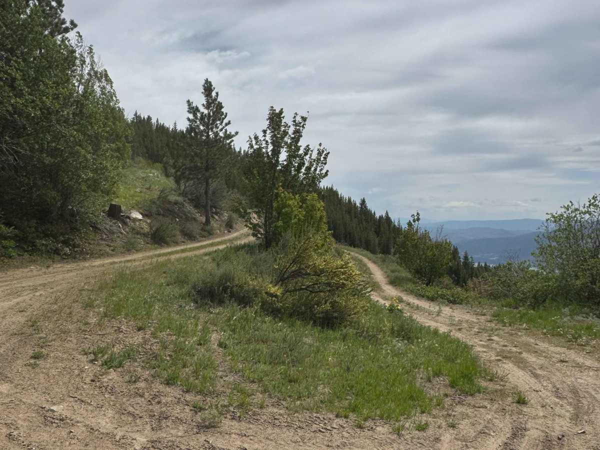 Johnson Creek Road - FS 8213 photo 4