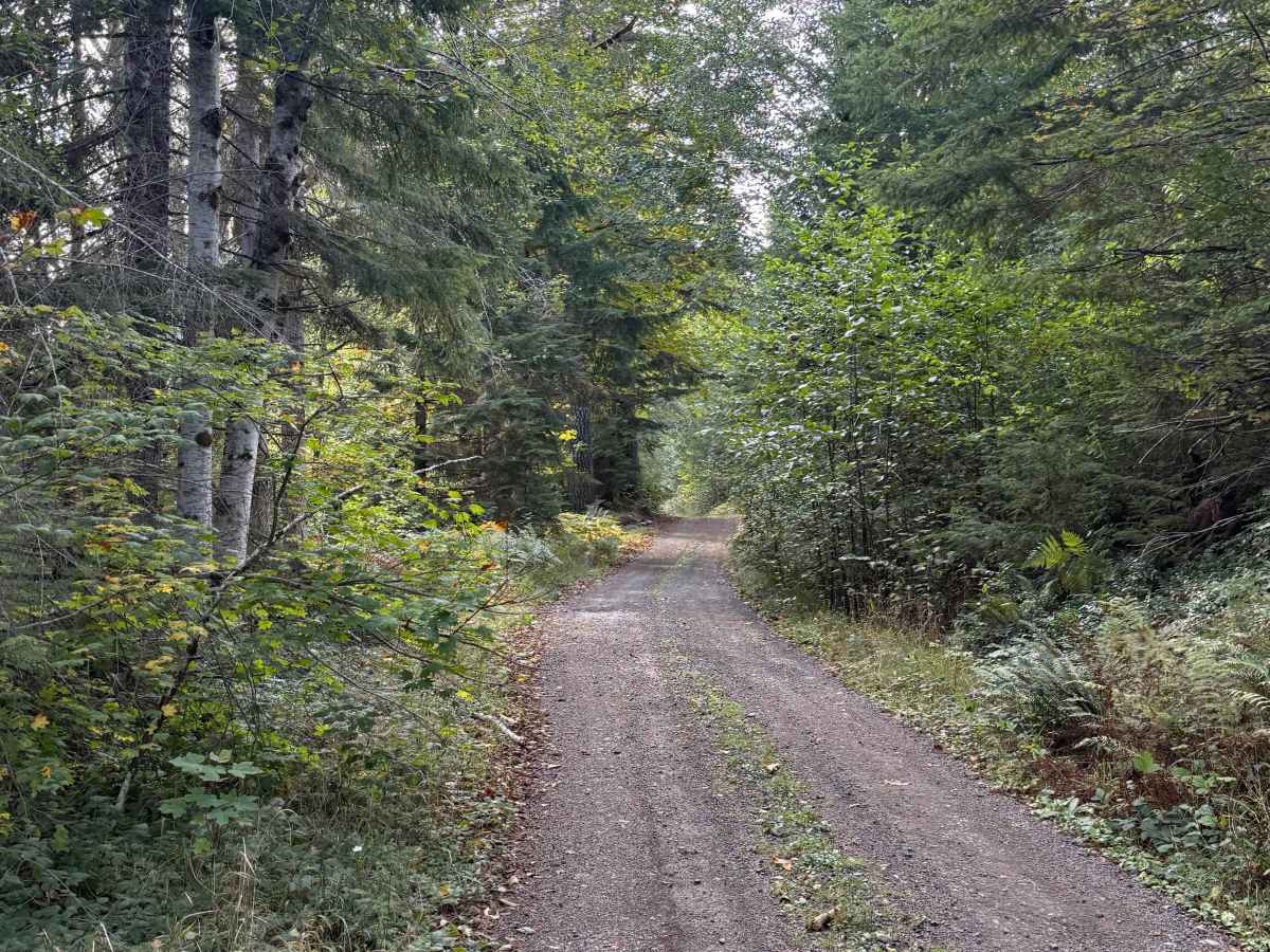 Saddle Mountain Road photo 5