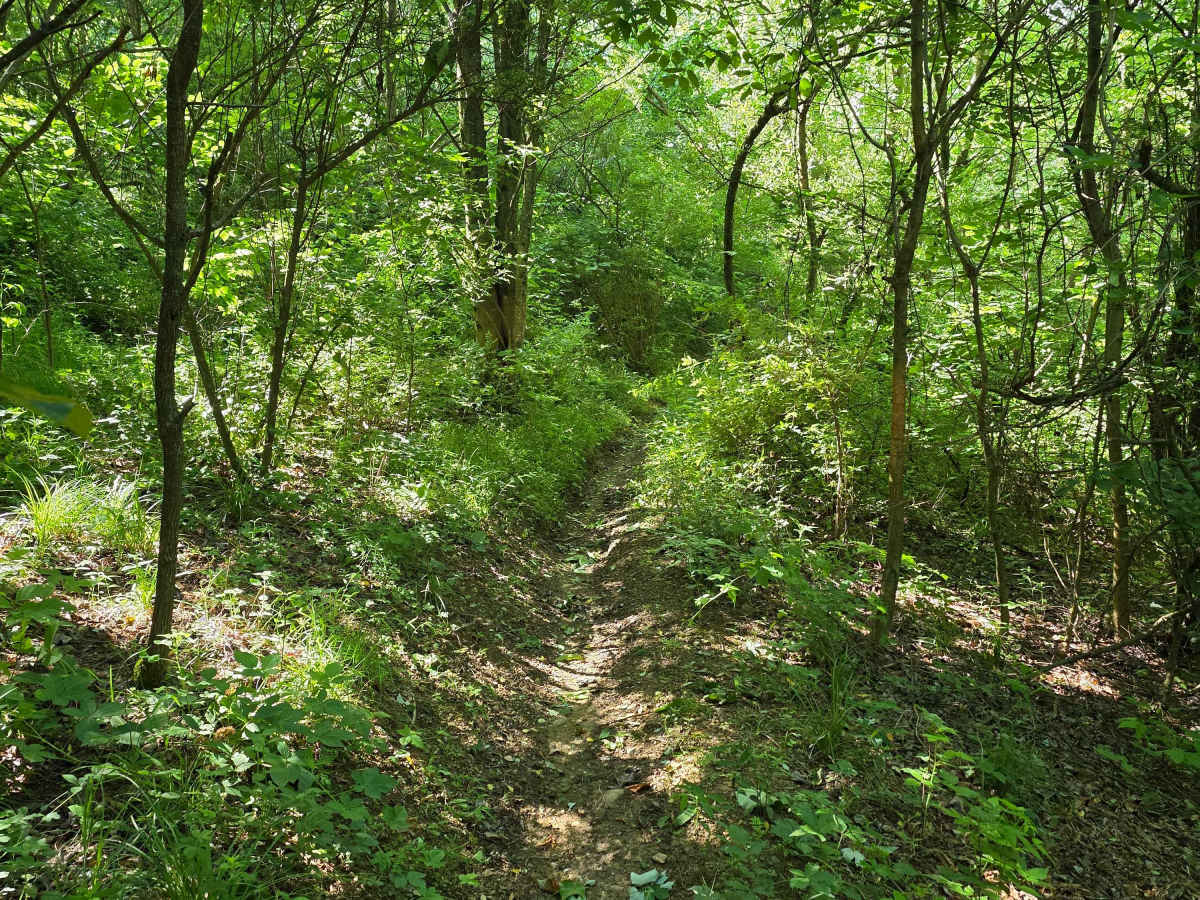 Single Track A photo 5