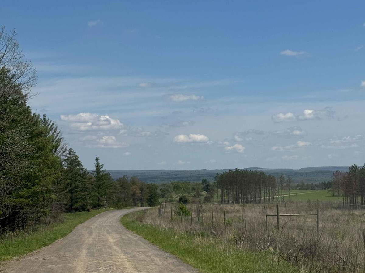 Woolridge Road photo 2