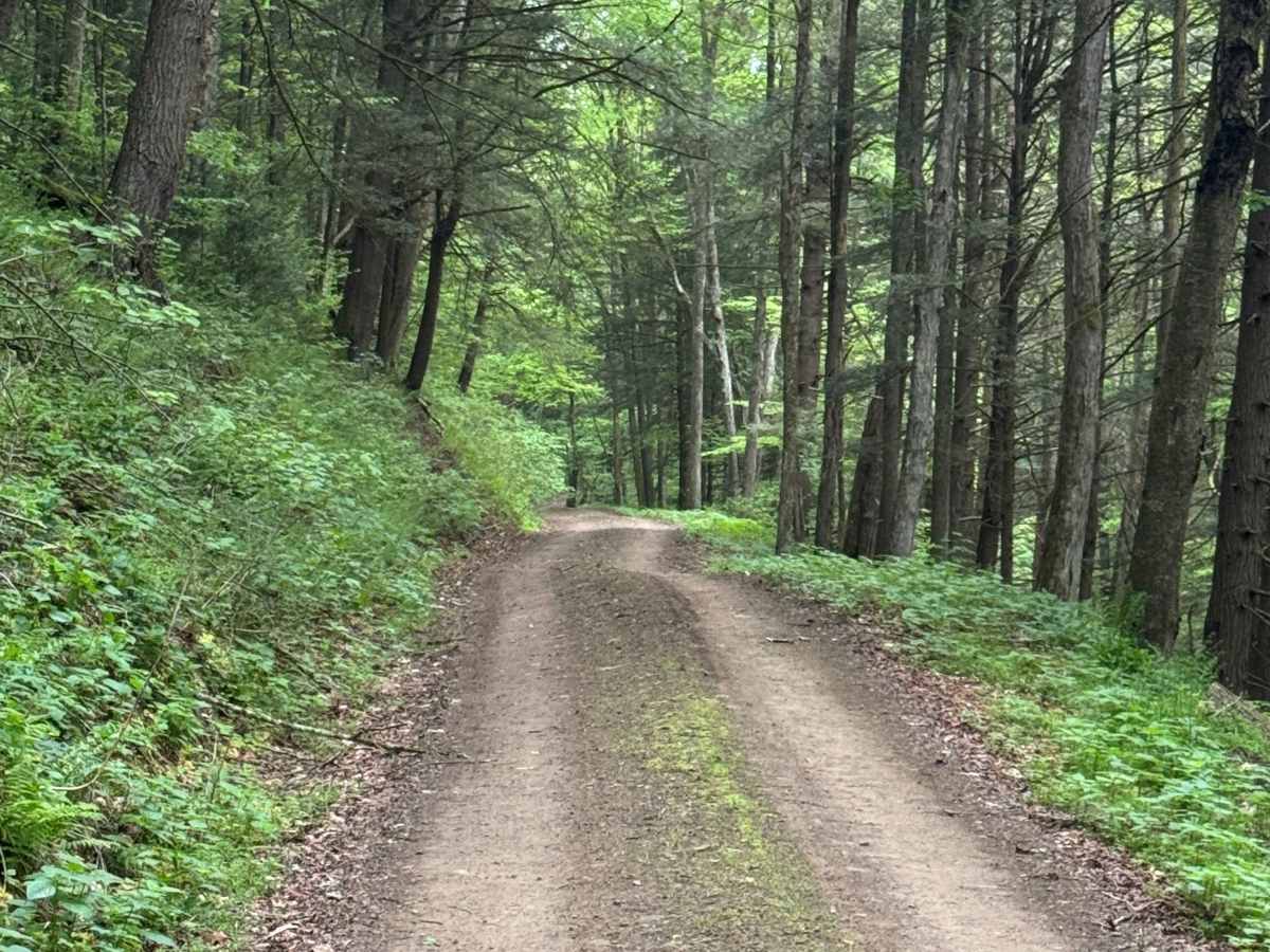 Big Springs Road photo 4