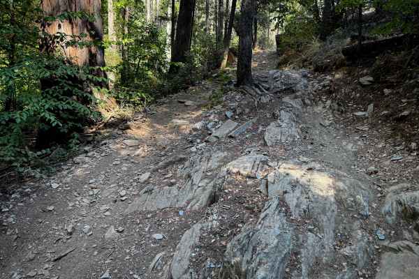 Trail 9 ATV (11E13) 