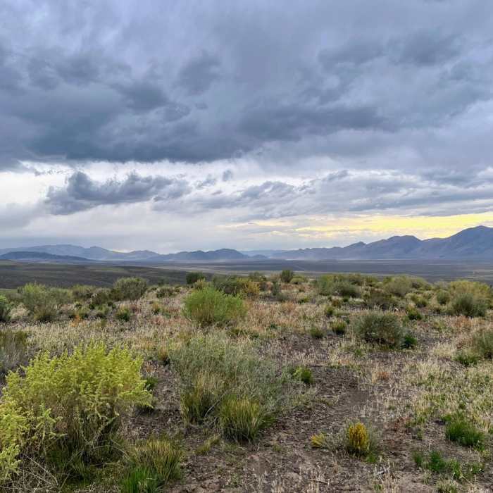 Near Denio to Windy Pass Near Denio to Windy Pass