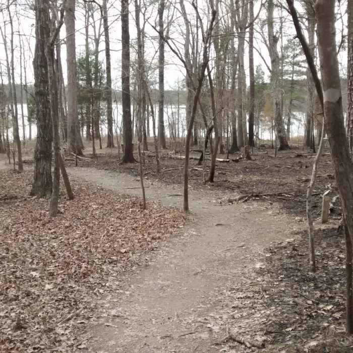 The trail passes through a controlled burn area Near Peninsula Loop