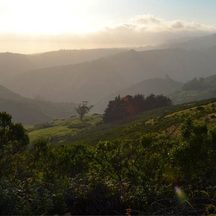 Near Purisima Creek Trail