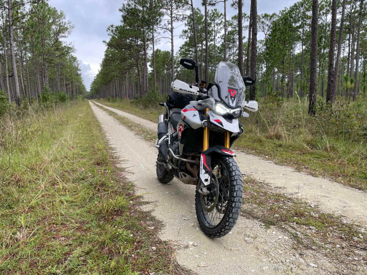 Francis Marion NF - SCAR Alternate trail photo
