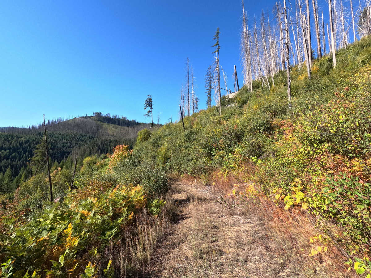 Klahowya Creek J - FS 1075J photo 6