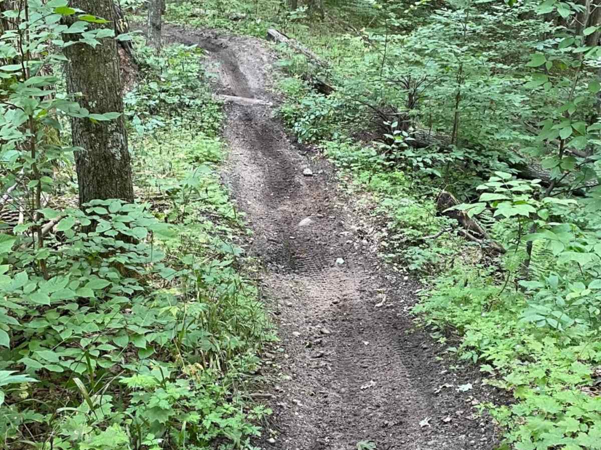 Tomahawk B Loop - Blackberry Ridge Section photo 4