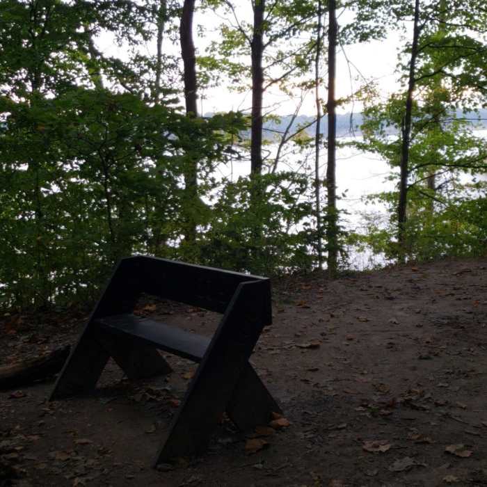 Near Bloodroot Trail