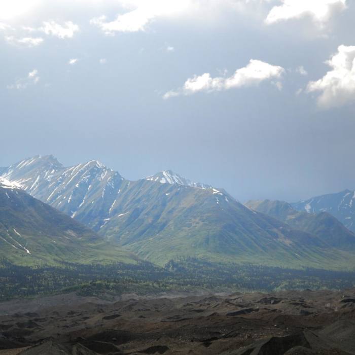 Near Root Glacier Trail Near Root Glacier Trail