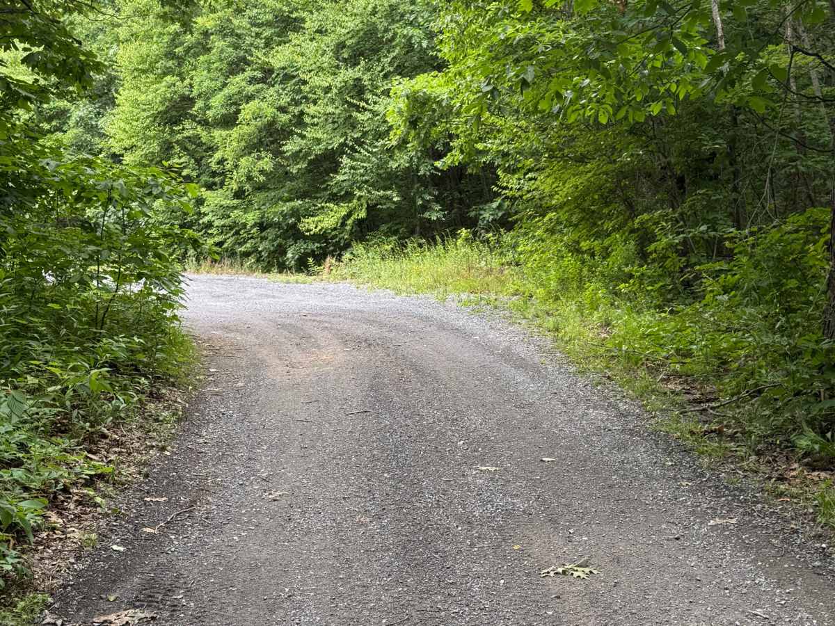 Middle Trailhead Road photo 5