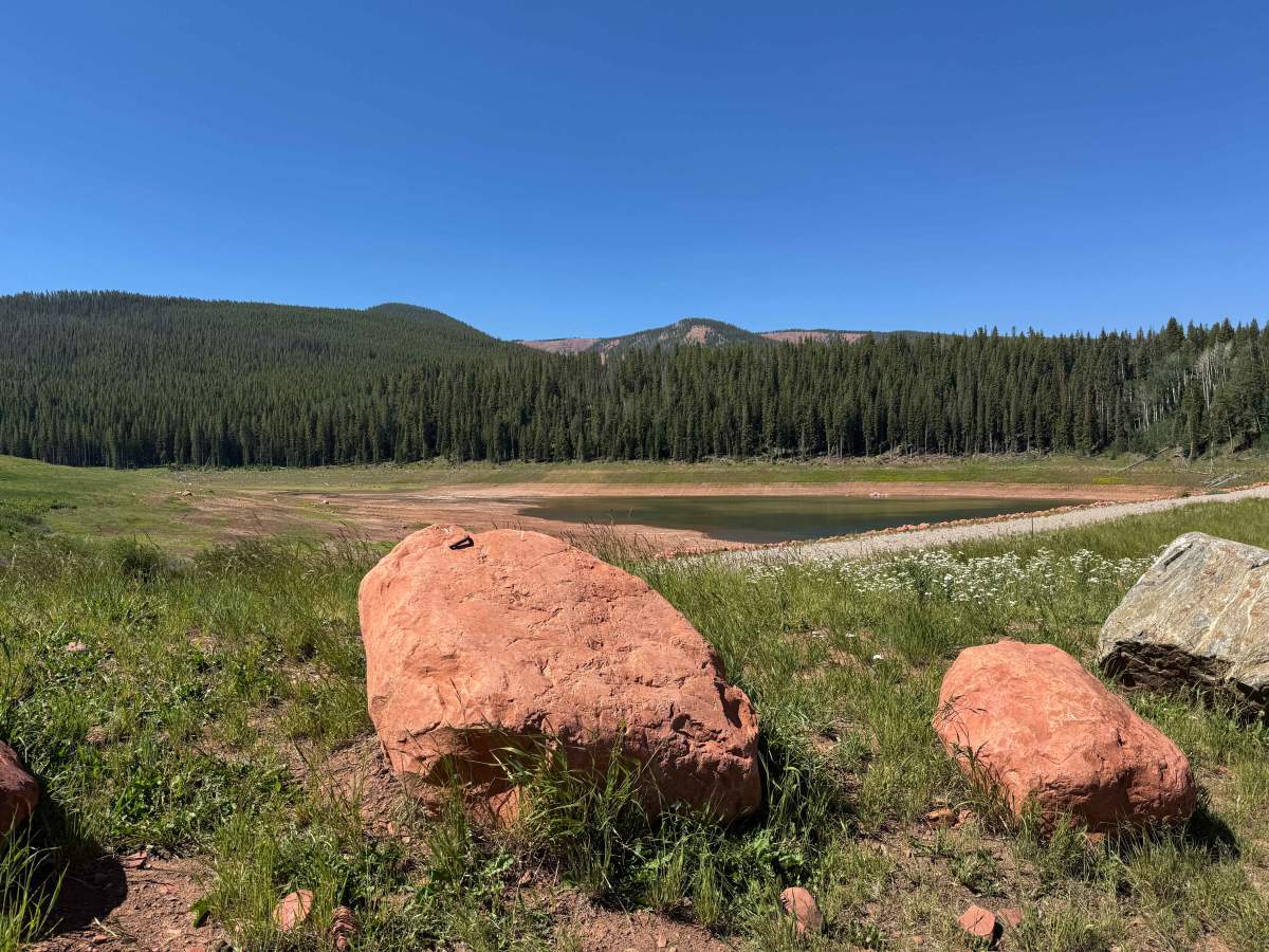 Upper Gypsum Creek Road - FS 101 photo 2