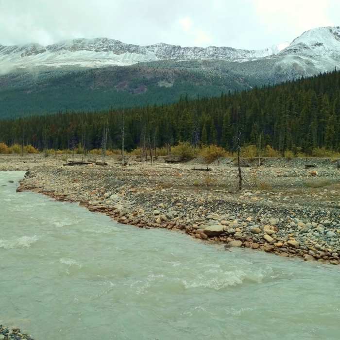 Near Moose River Route: Smoky River Crossing to Moose Pass