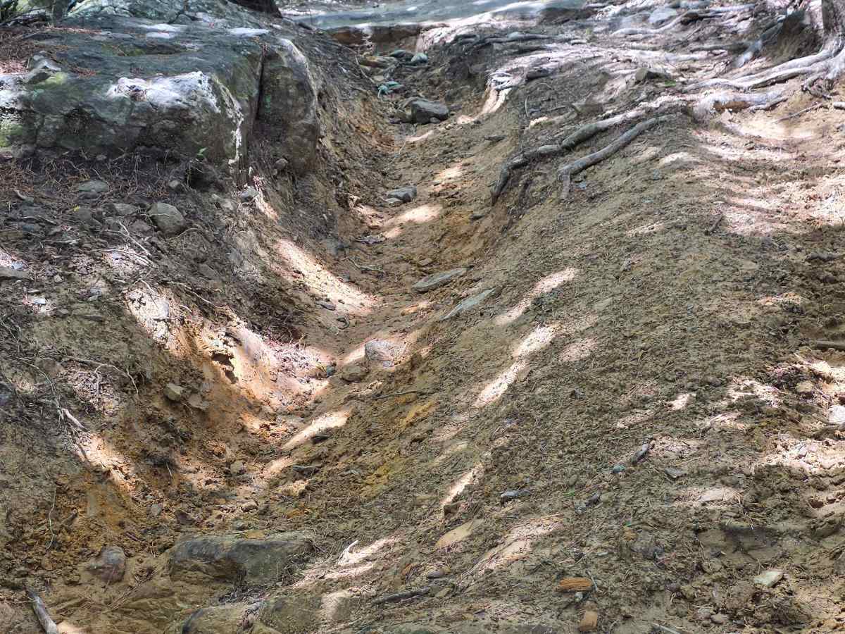 Wallace's Last Song trail photo