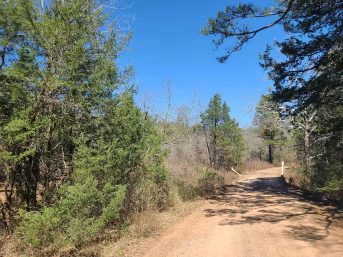 Eagle Gap Road South photo 6