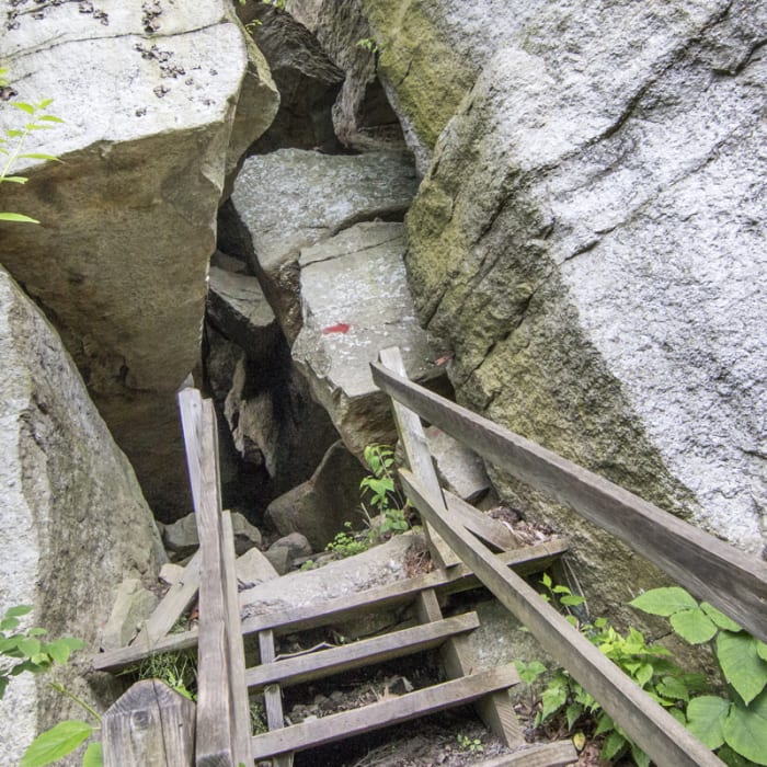 Near Labyrinth + Lemon Squeeze