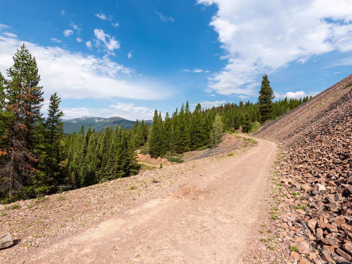 Moose Creek Road - FS 479 photo 4